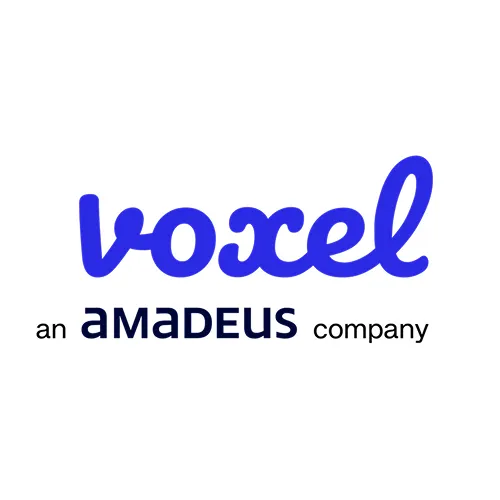 voxel-amadeus